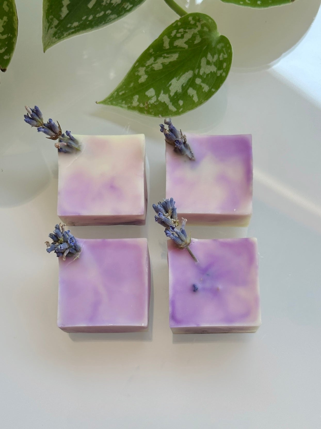 Soy & Beeswax Aromatherapy Melts | lavender vanilla