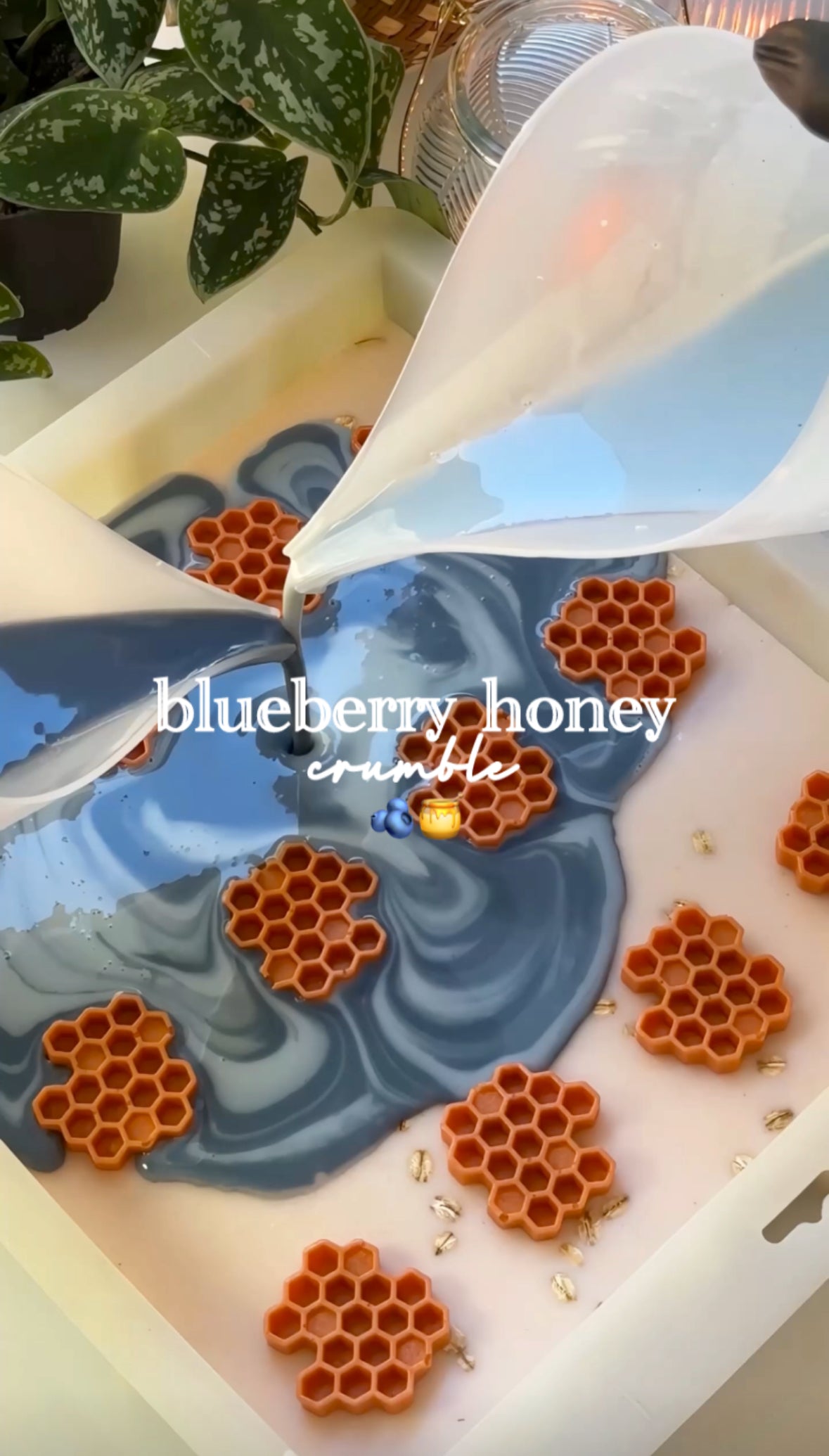 Shea Butter, Aloe & Goat Milk Soap | blueberry honey crumble
