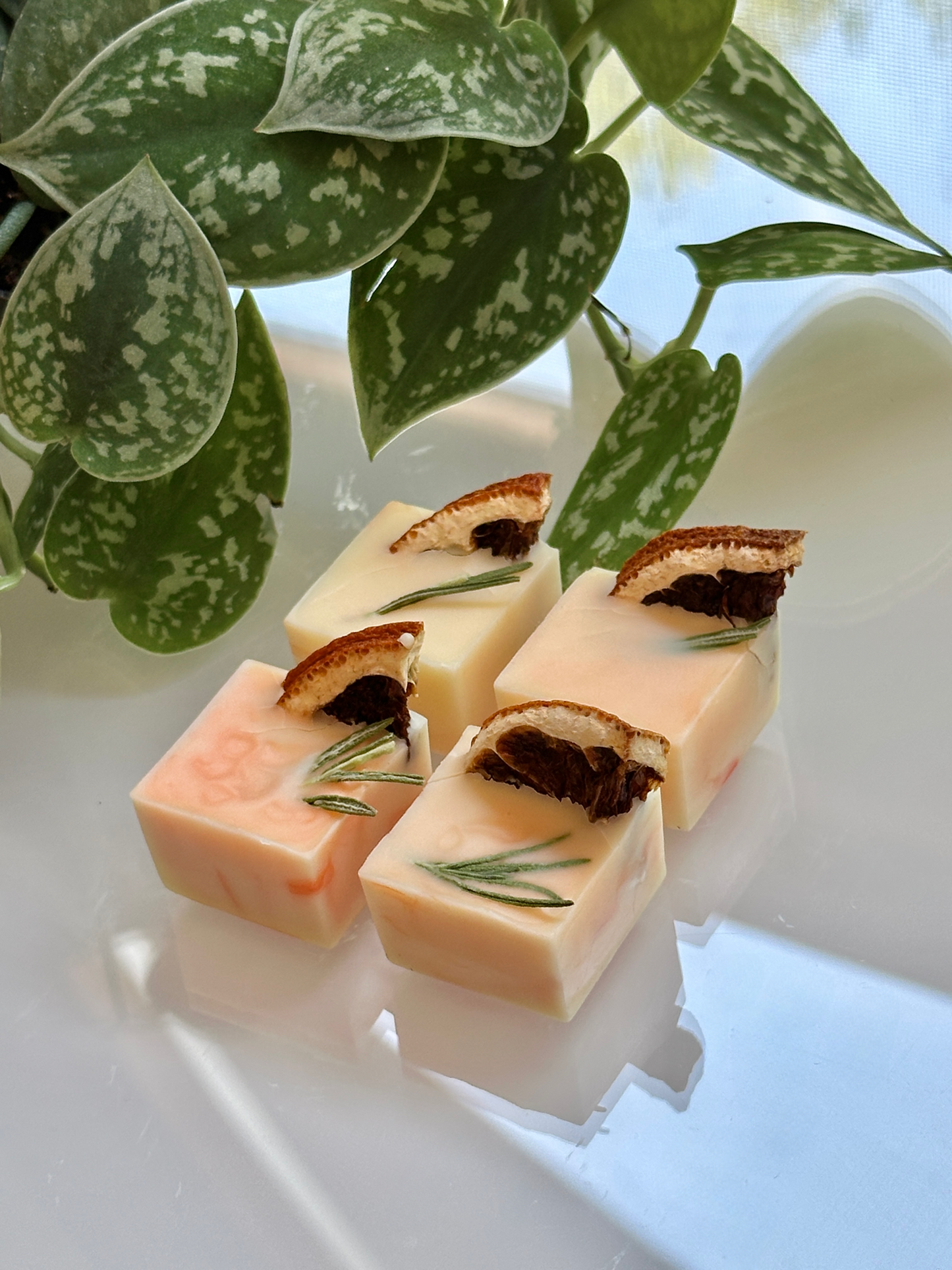 Soy & Beeswax Aromatherapy Melts | blood orange + rosemary