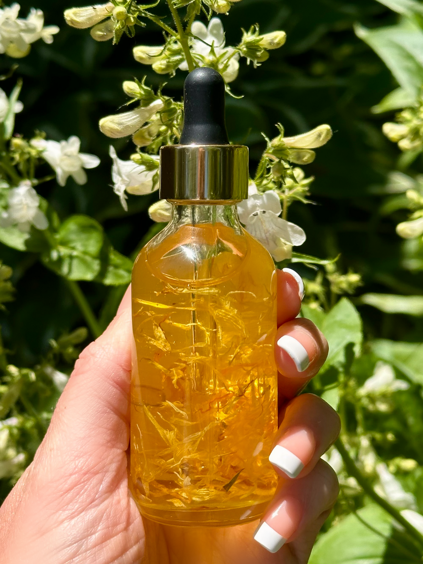 Orange Cream Face + Body Oil | vanilla, sweet orange + jasmine