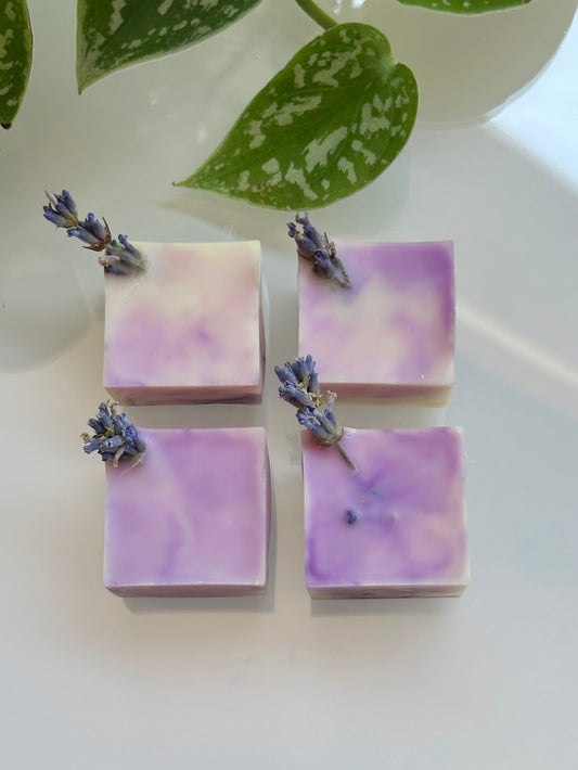 Soy & Beeswax Aromatherapy Melts | lavender vanilla