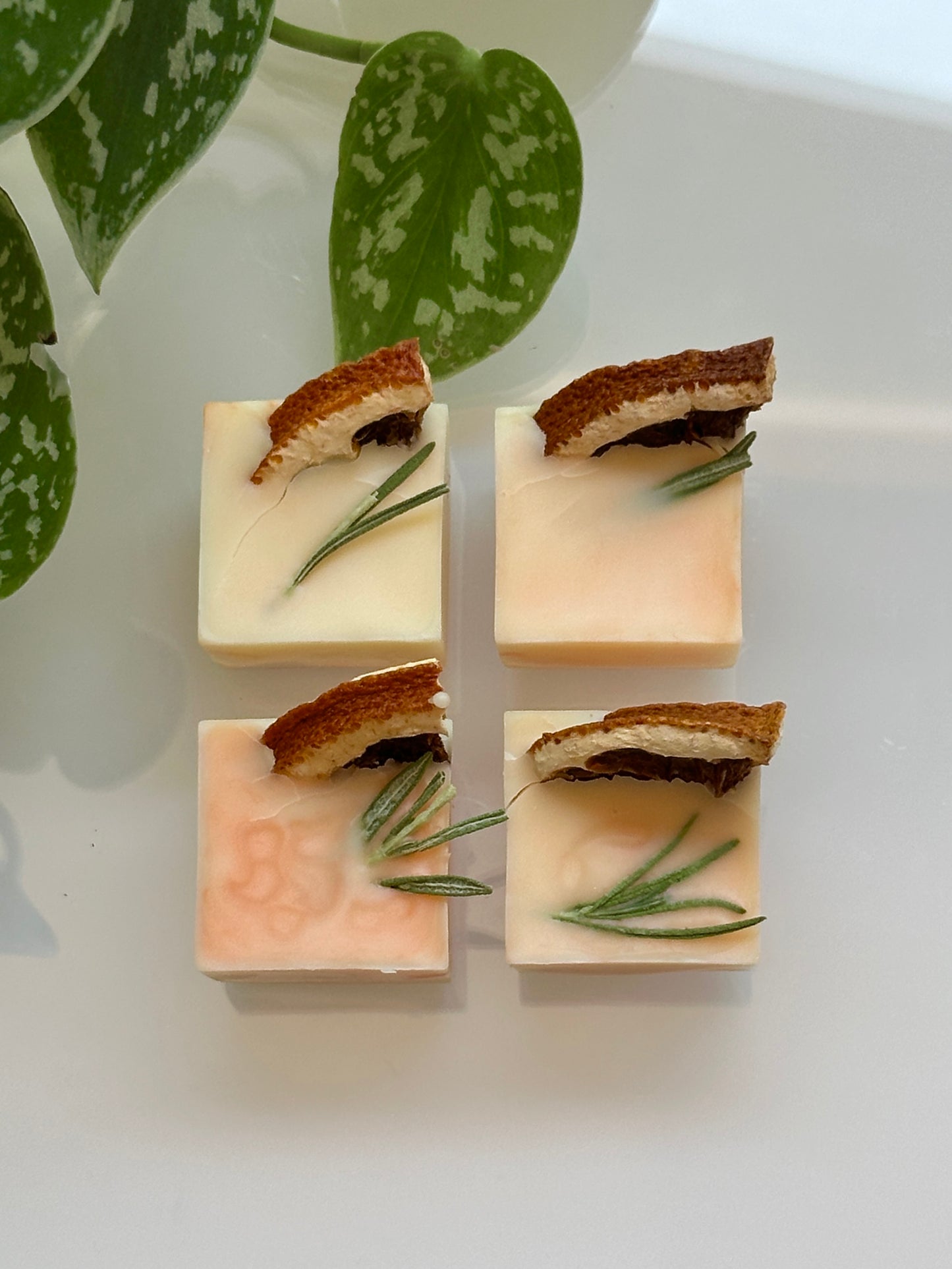 Soy & Beeswax Aromatherapy Melts | blood orange + rosemary