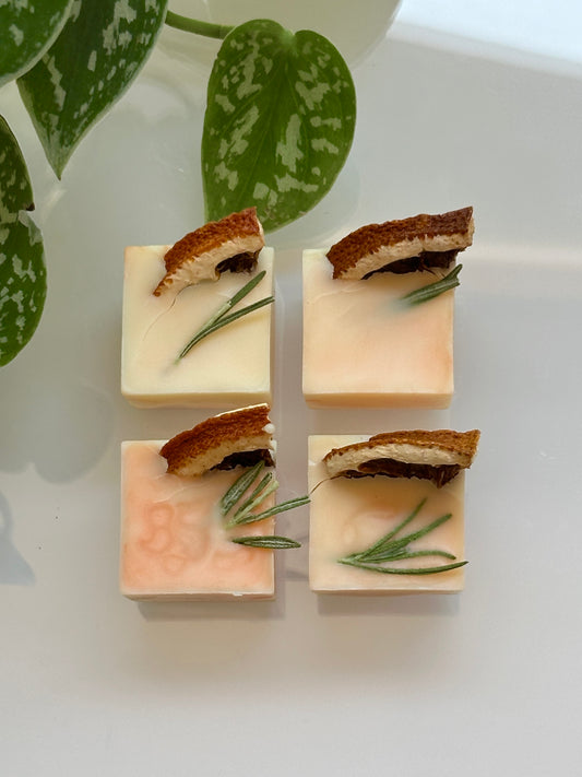 Soy & Beeswax Aromatherapy Melts | blood orange + rosemary