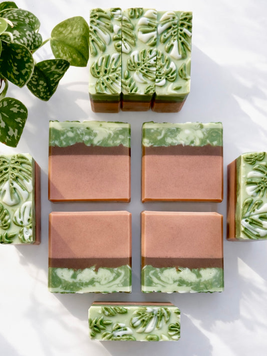 Handcrafted Bar Soap | monstera albo