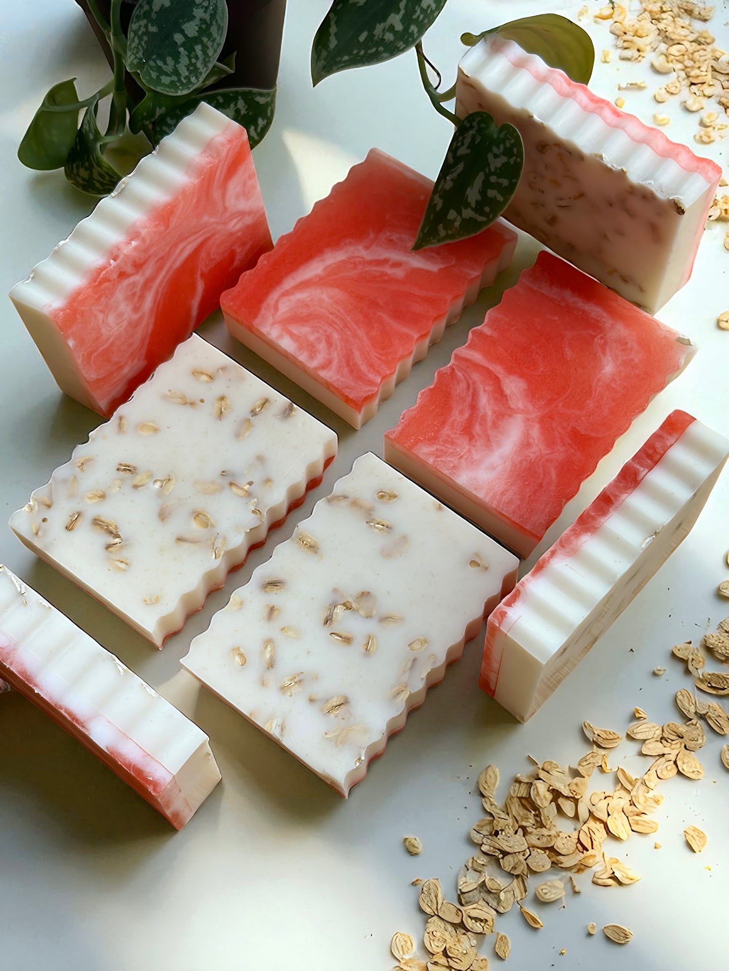 Shea Butter, Aloe & Goat Milk Soap | apple oatmeal