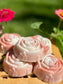 Shea Butter & Goat Milk Soap | classic rose