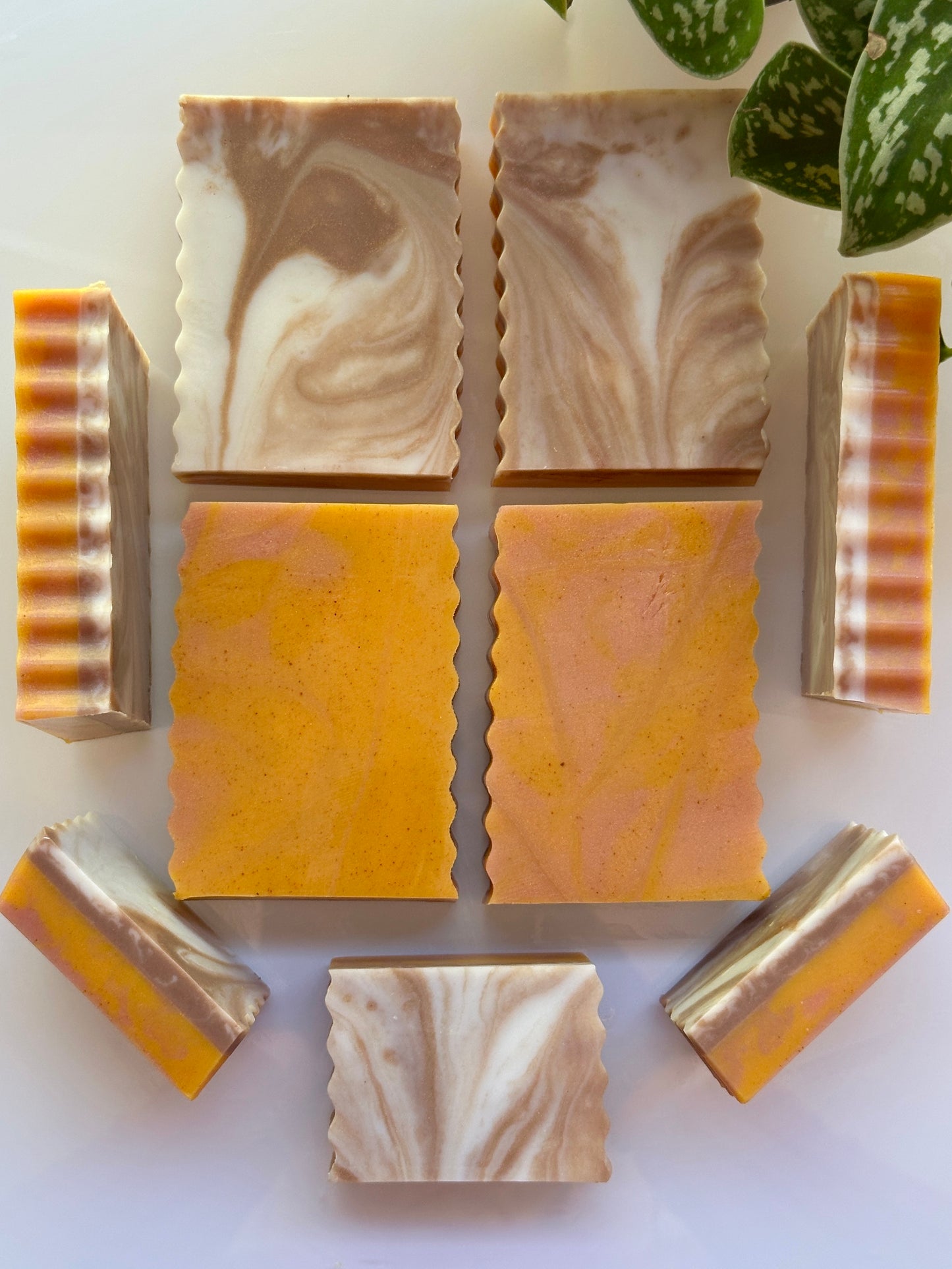 Shea Butter, Aloe & Goat Milk Soap | toasted pumpkin spice latte