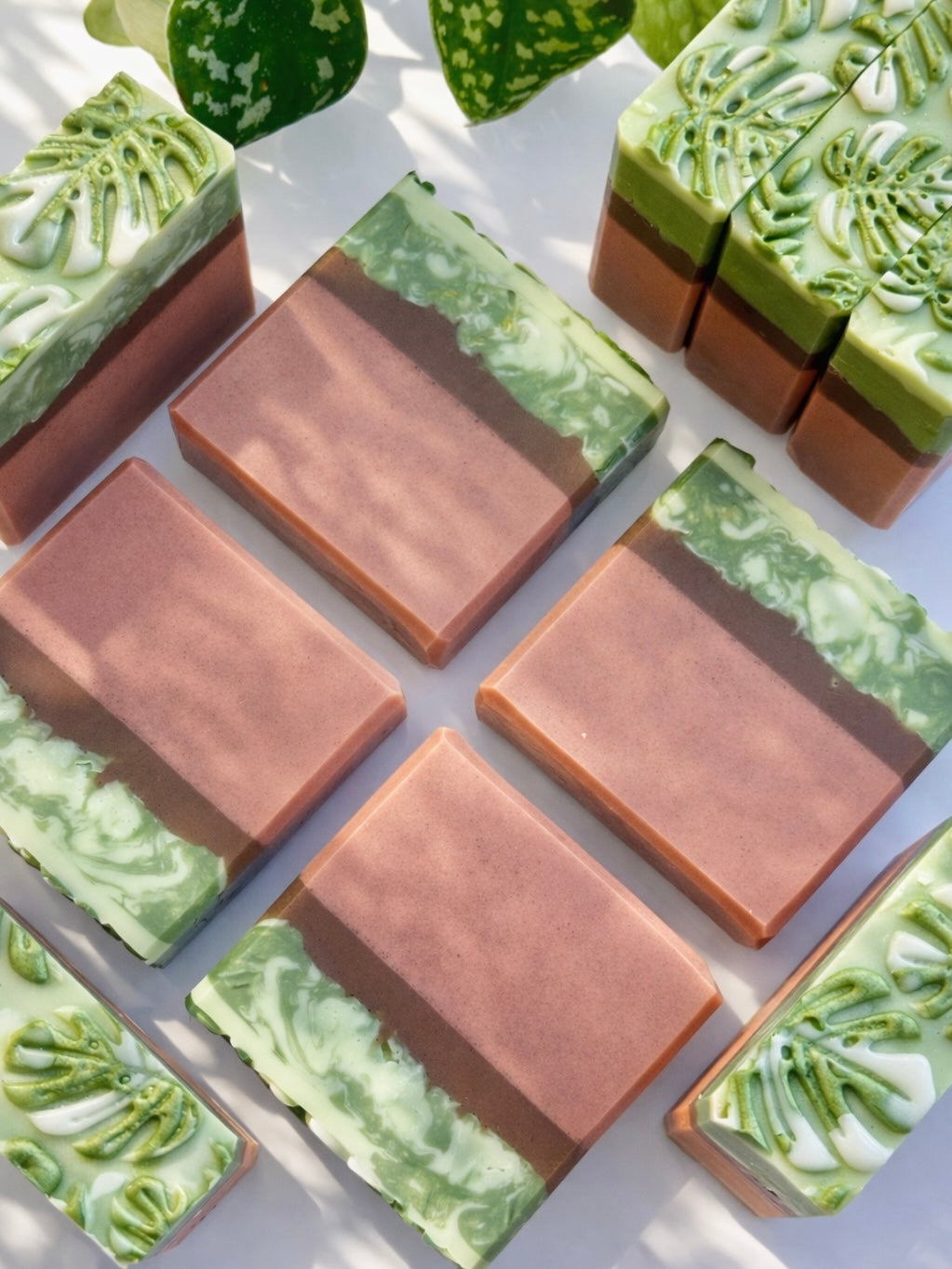Handcrafted Bar Soap | monstera albo