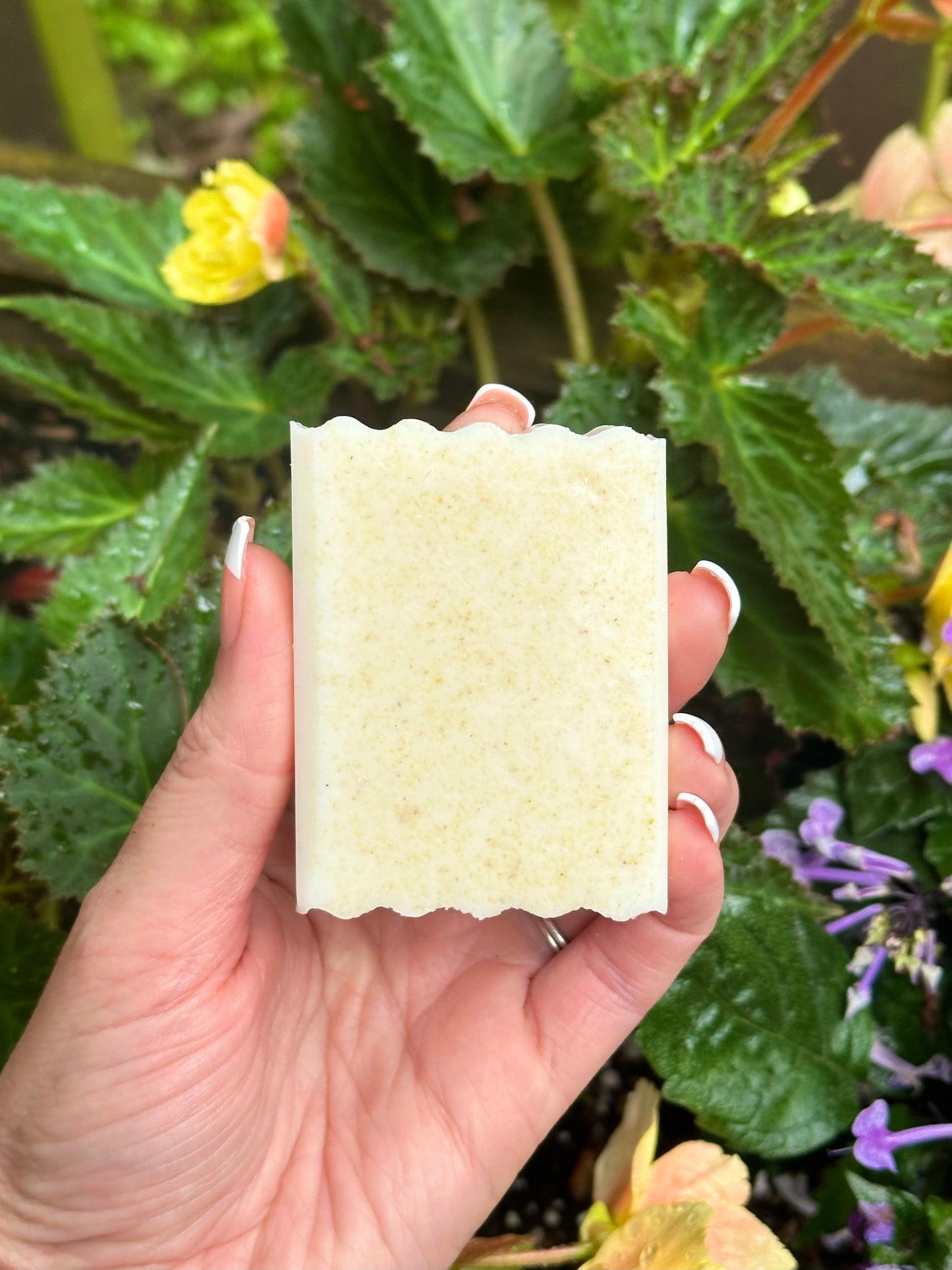 Shea Butter & Goat Milk Soap | warm apple oatmeal