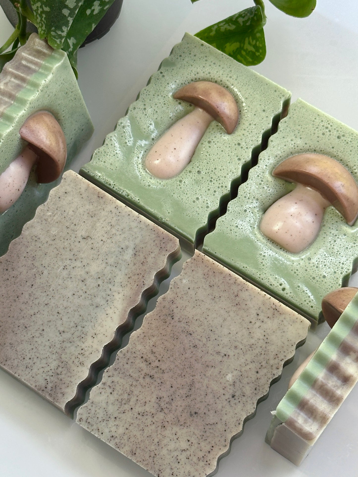Shea Butter & Goat Milk Soap | autumn forage