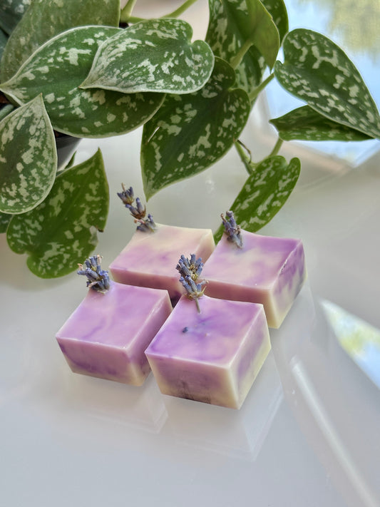Soy & Beeswax Aromatherapy Melts | lavender vanilla