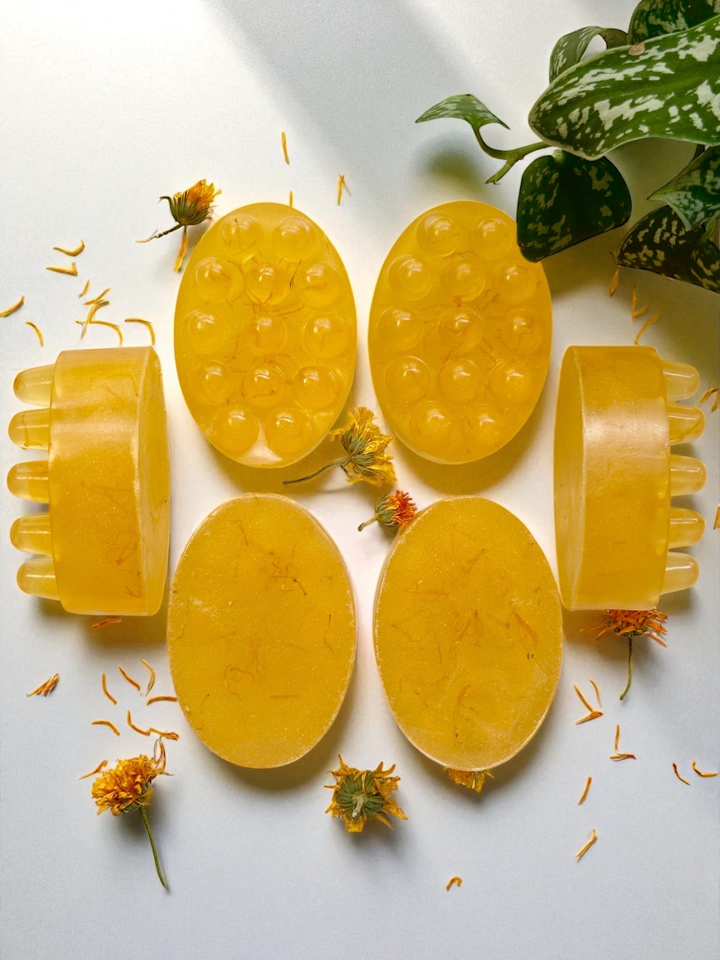 Vegan Aloe Soap | calendula citrus